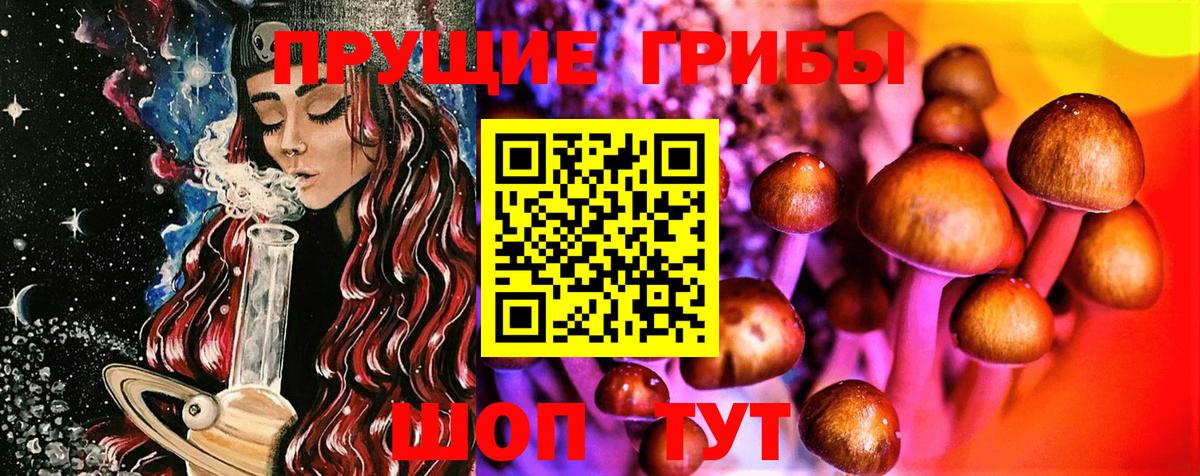 Галлюциногенные грибы Psilocybe  Вход с VPN  Галлюциногенные грибы мицелий  Подольск 